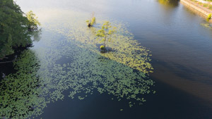 Drohnenaufnahme