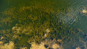 Drohnenaufnahme