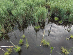 Drohnenaufnahme
